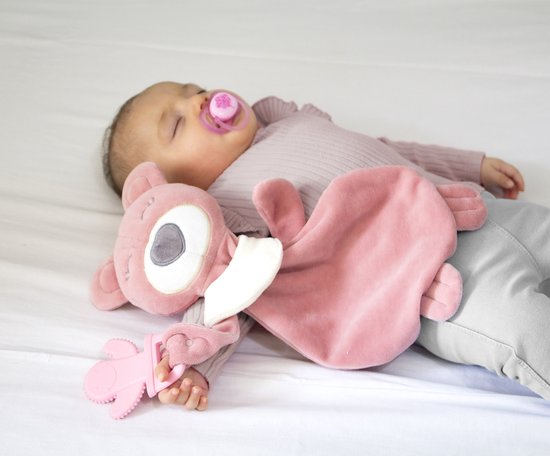 Babyjem My Sweet Bear Toy With Teether Rose