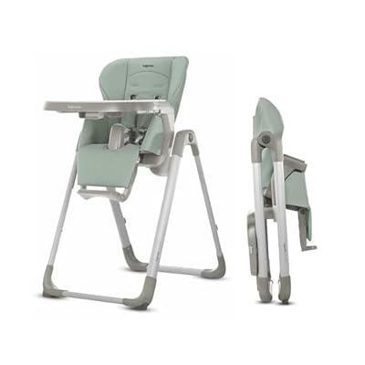 Inglesina My Time High Chair Adjustable Reclining Seat