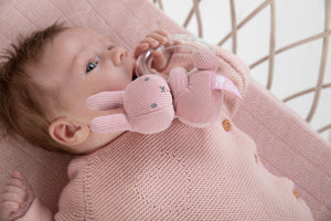 Miffy Rattle Pink Baby Rib Transparent Ring Toy