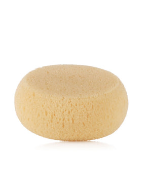 Jane Hydrophile Sponge