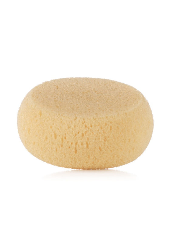 Jane Hydrophile Sponge