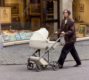 Anex Eli in1 Travel Travel System Stroller GATO