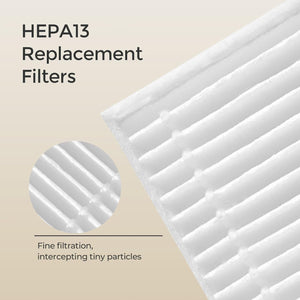 Momcozy Hepa Bs03 Clean And Sterilize Evice Filter 2Pk