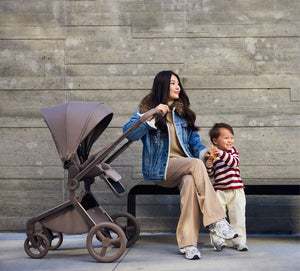 Anex Flo Baby Stroller 2-in-1 with Carrycot & Seat Unit