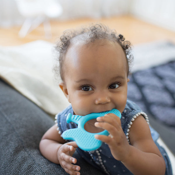 Dr. Brown's Flexees Elephant Silicone Teether Blue