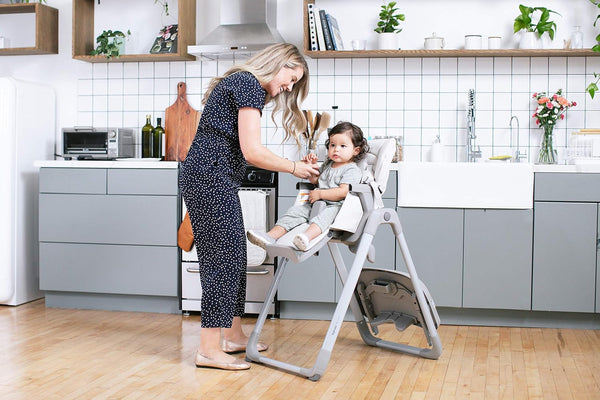 Inglesina My Time High Chair Adjustable Reclining Seat
