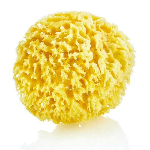 Babyjem Natural Sea Sponge Gentle Baby Bath Accessory