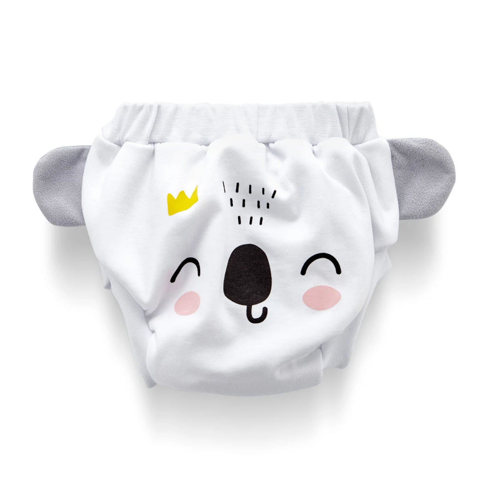 Babyjem Lux Potty Training Underwear – Age 2