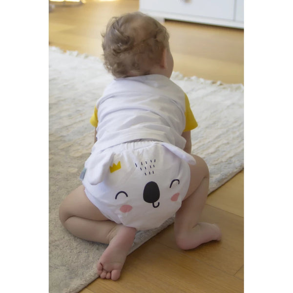 Babyjem Lux Potty Training Underwear – Age 2