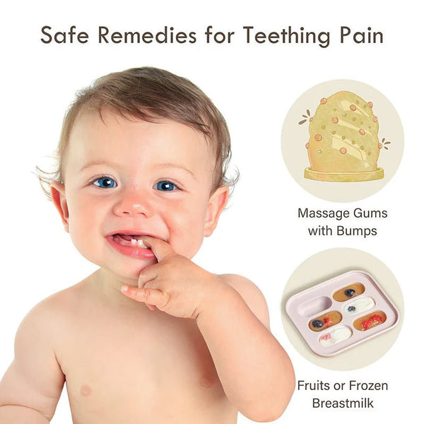 Moonkie Silicone Baby Fruit Feeder with Freezer Tray – (2-Pack, 4M+)