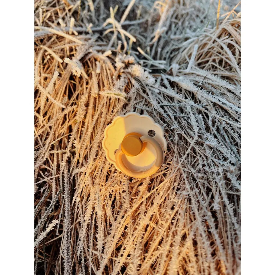 Frigg Daisy Silicone Pacifier 0-6M 2-Pack - Chamomile/Honey gold