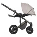 Anex Stroller M-Type 2 In 1 Off-Road Travel System Shell