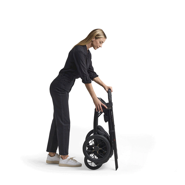 Inglesina Aptica XT System Quattro Stroller + Standup Cradle + Darwin Recline Car Seat