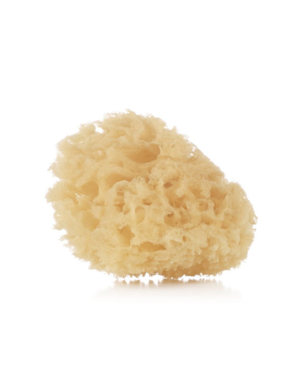 Jane Natural Sponge