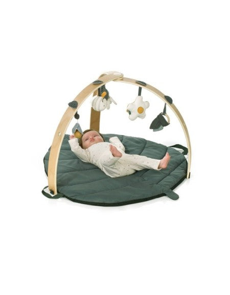jane baby play mat with gym