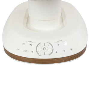 Evenflo Elara 2-in-1 Smart Motion Baby Swing & Soothing Nest with SensorySoothe Technology
