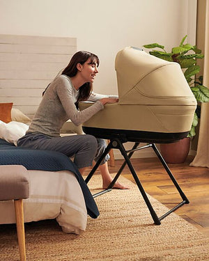 Inglesina Electa Darwin Travel System Dumbo Caramel