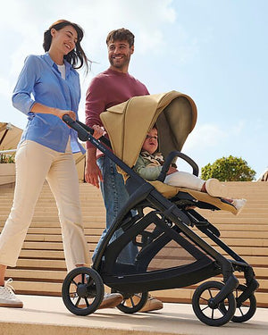 Inglesina Electa Darwin Travel System Dumbo Caramel