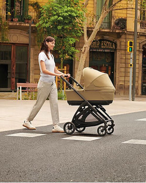 Inglesina Electa Darwin Travel System Dumbo Caramel