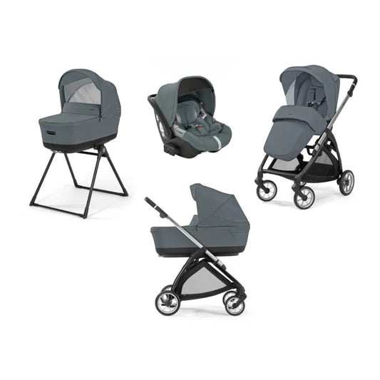 Inglesina Electa Darwin Travel System