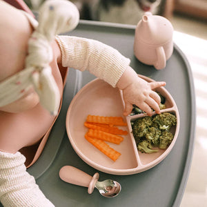 Moonkie Silicone Suction Plate with Lid – Divided Toddler Plate