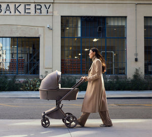 Anex Flo Baby Stroller 2-in-1 with Carrycot & Seat Unit