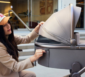 Anex Flo Baby Stroller 2-in-1 with Carrycot & Seat Unit