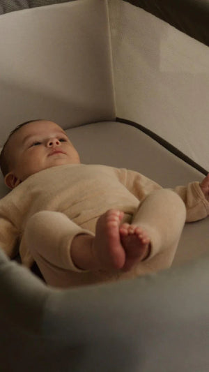 Inglesina Welcome Bed® Co-Sleeping Crib